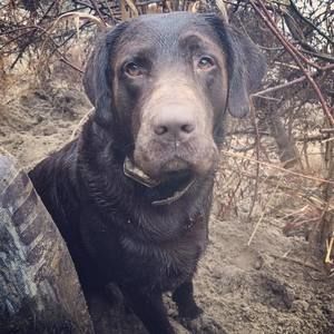 Meet your Posher, Bridgette